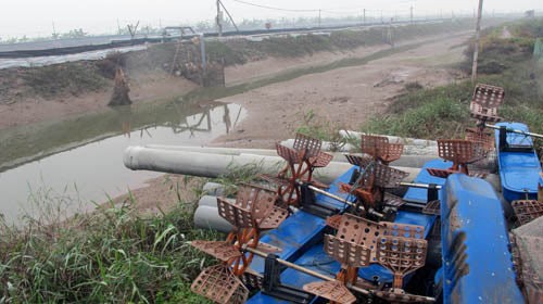 Một đầm tôm bị bỏ hoang do UBND huyện Tiên Lãng không cho đầu tư tiếp